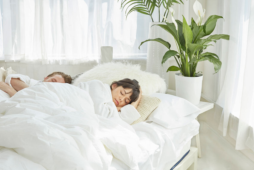 The GravityLux Soft mattress - official WinkBeds product photo 3 of 6